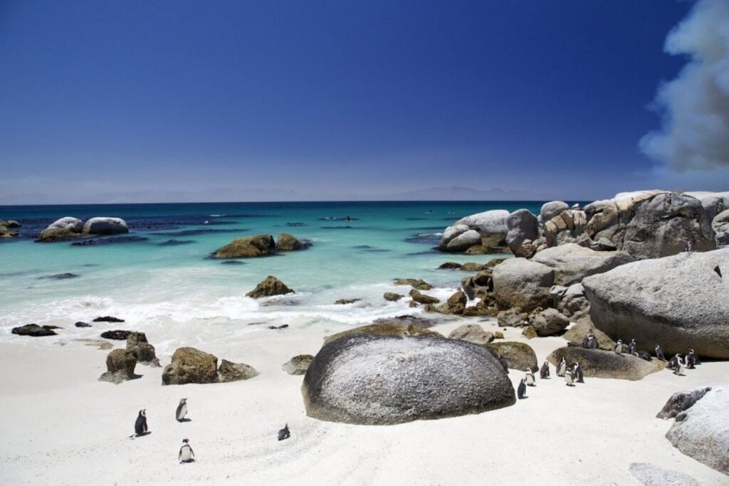 Best Holiday Destinations for Families