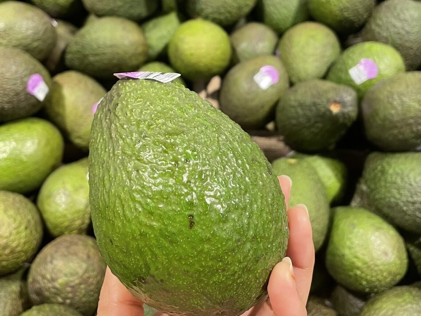 Choose Ripe Avocados