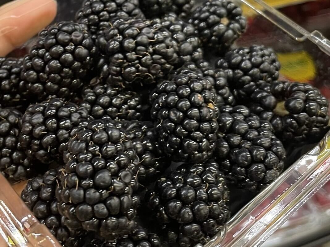 berries - reverse aging with diet